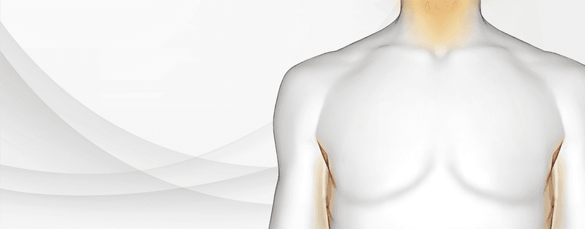 <b>Chronic</b> <b>Spontaneous</b> <b>Urticaria</b> Learning Hub