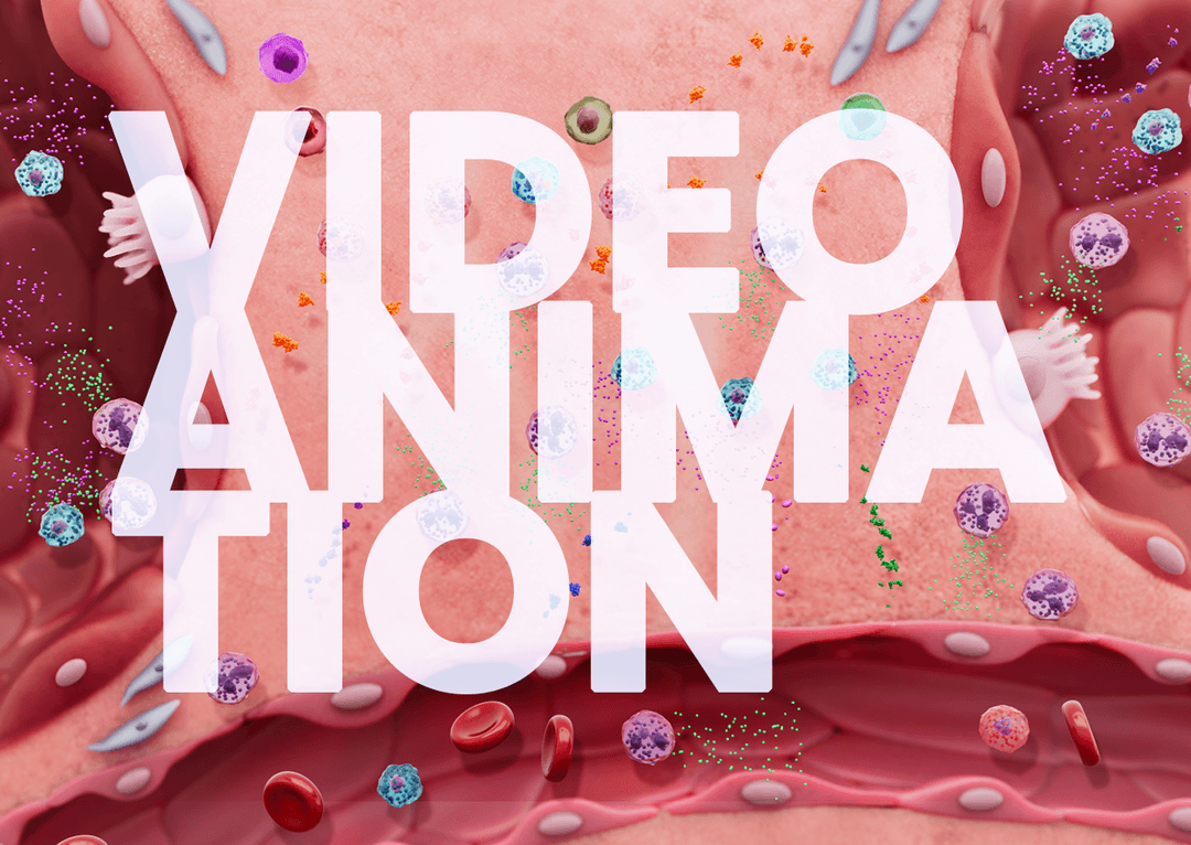 Pathways to <b>Disease</b>: Inflammation in Chronic Obstructive Pulmonary <b>Disease</b> Video