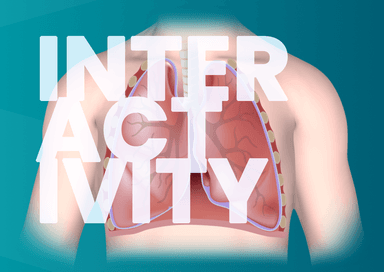 The Cycle of Inflammation in Adult Asthma