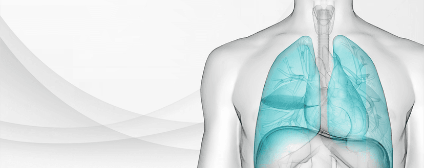Type 2 <b>Asthma</b> Learning Hub