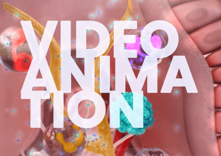 Bullous Pemphigoid Mechanism of Disease Video