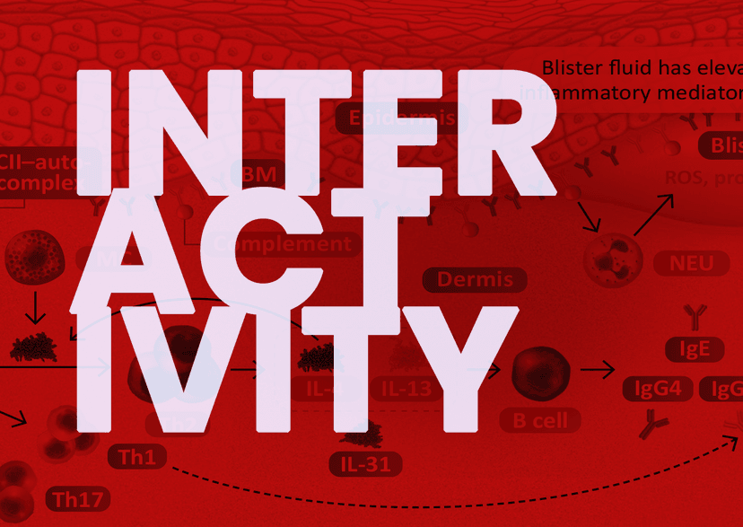 Learn more about how dysregulated type 2 inflammation contributes to polymorphous lesions and dermal epidermal splitting in bullous pemphigoid 
