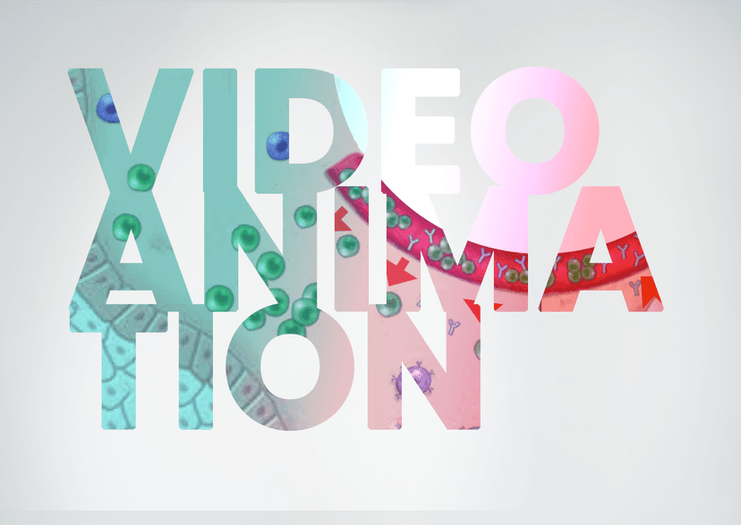 What Drives Chronic Itch and the Itch-Scratch Cycle in Atopic Dermatitis? 